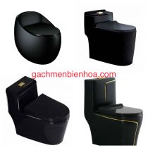 Bồn cầu khối màu đen 0800