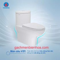 Bồn cầu một khối viglacera V37