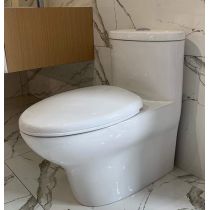 BỒN CẦU LIỀN KHỐI VIGLACERA V37