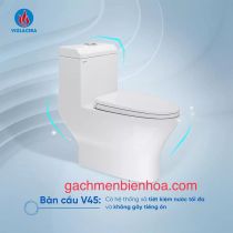 Bồn cầu một khối viglacera V45