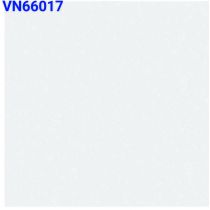 Đá bóng kiếng toàn phần 60×60 VN66017