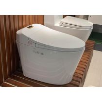 BỒN CẦU THÔNG MINH VIGLACERA V94